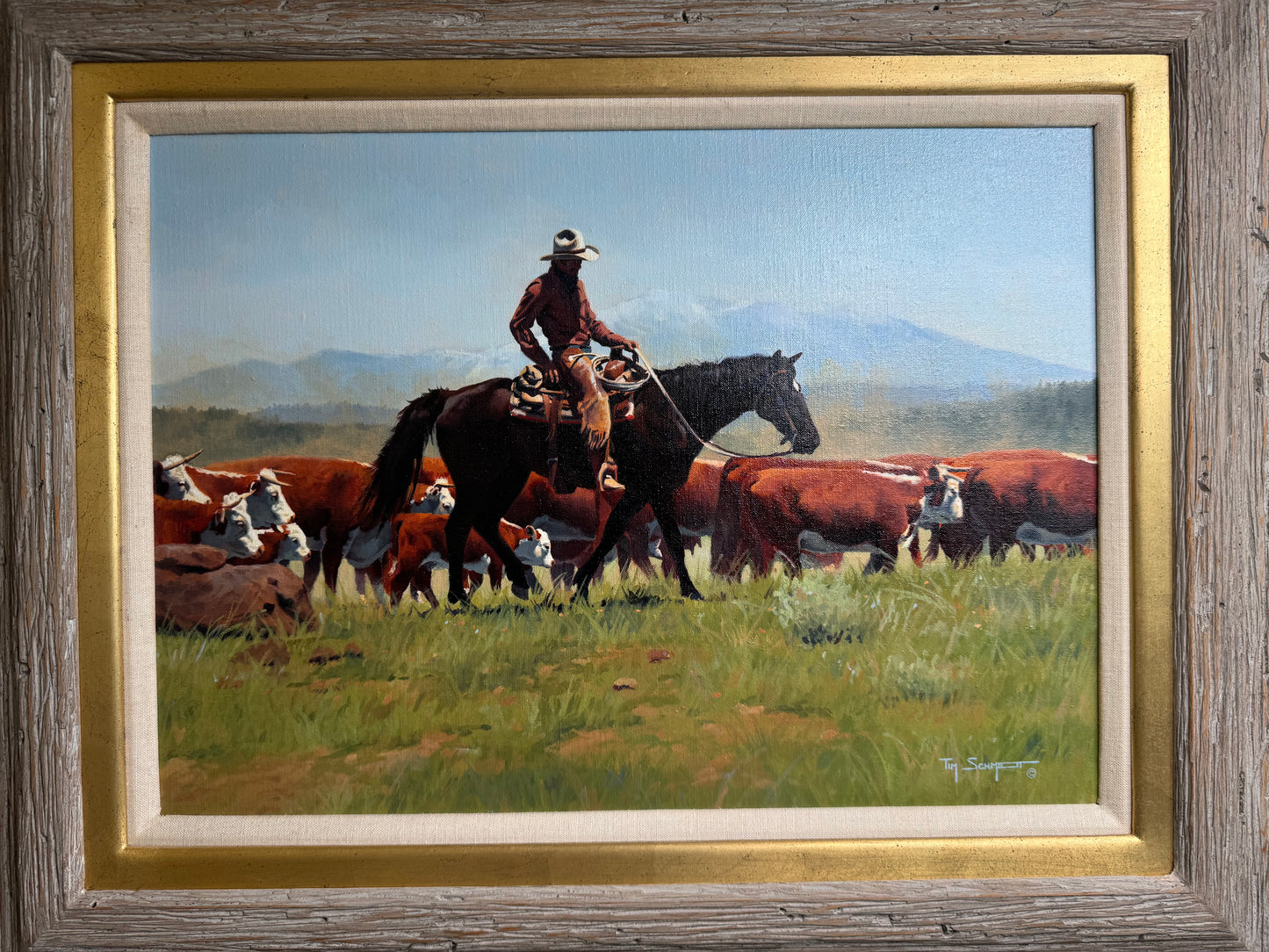 Tim Schmidt Original Herd Oil Painting