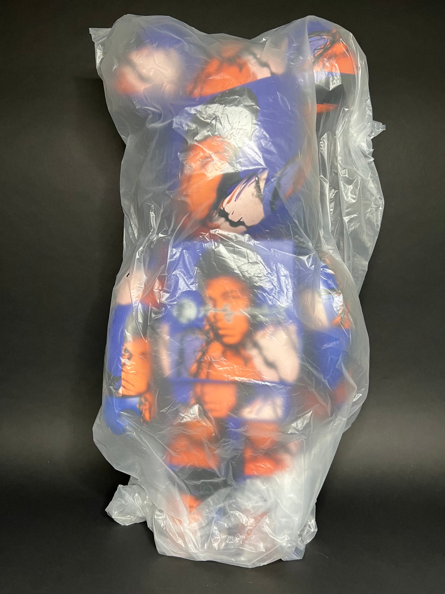 Bearbrick Andy Warhol Muhammad Ali 1000% Figures