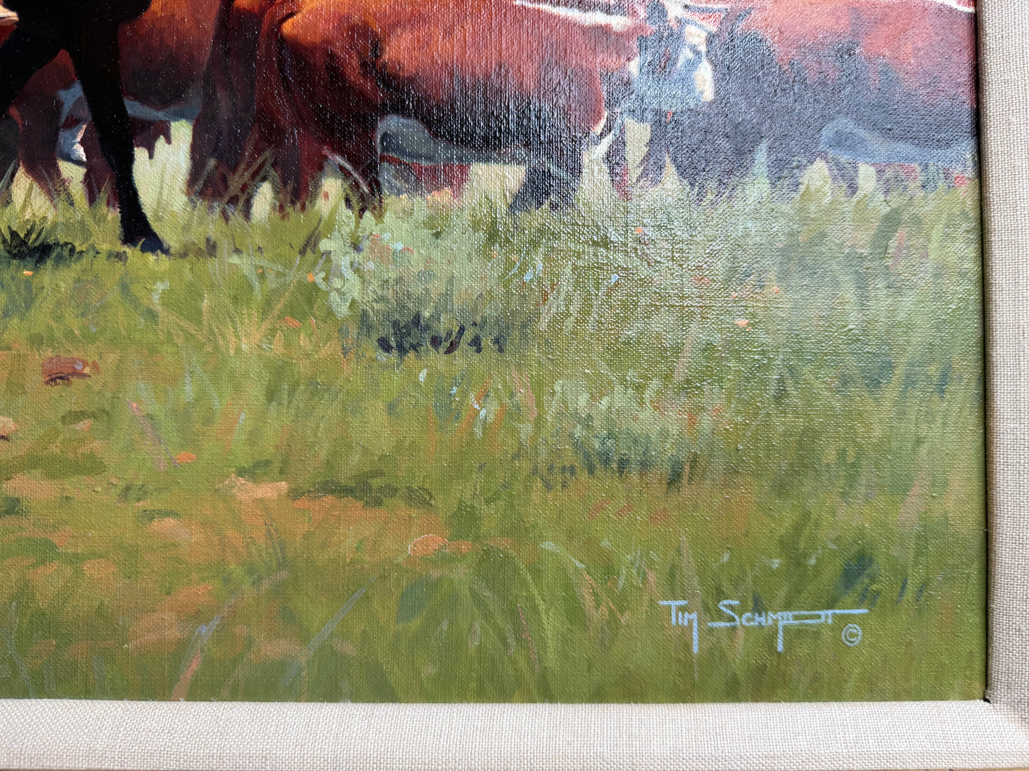 Tim Schmidt Original Herd Oil Painting