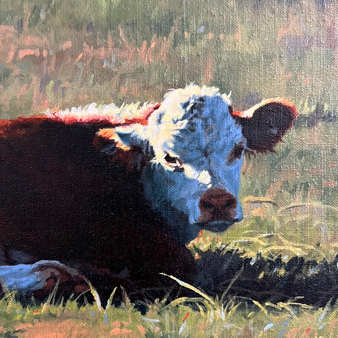 Tim Schmidt “ Wakin Up “ Original Oil on Canvas