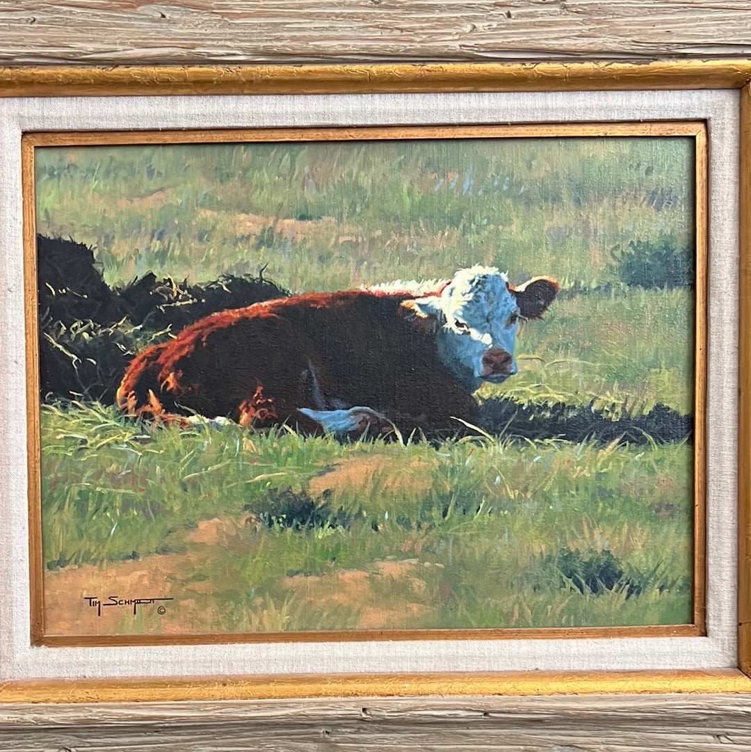 Tim Schmidt “ Wakin Up “ Original Oil on Canvas