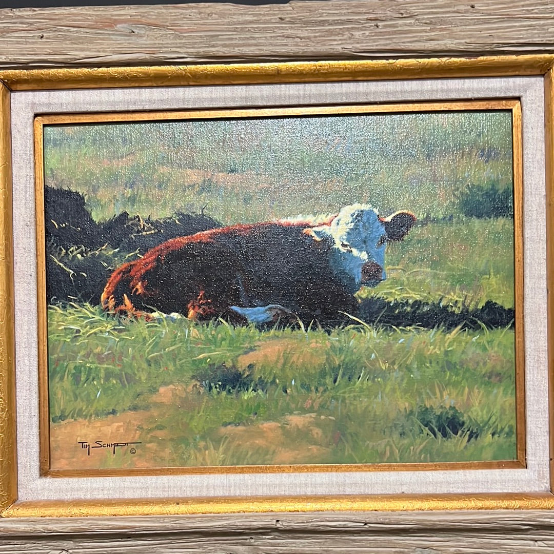 Tim Schmidt “ Wakin Up “ Original Oil on Canvas