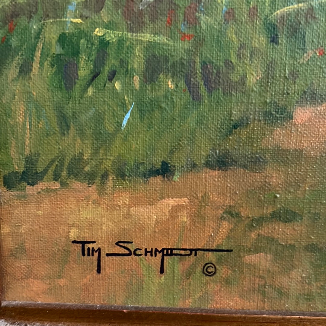 Tim Schmidt “ Wakin Up “ Original Oil on Canvas
