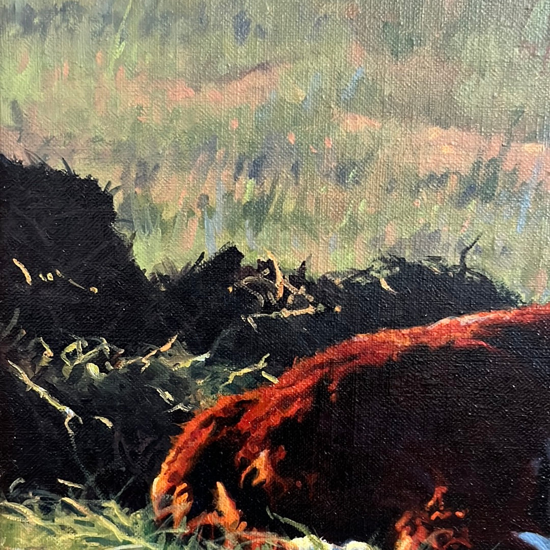 Tim Schmidt “ Wakin Up “ Original Oil on Canvas