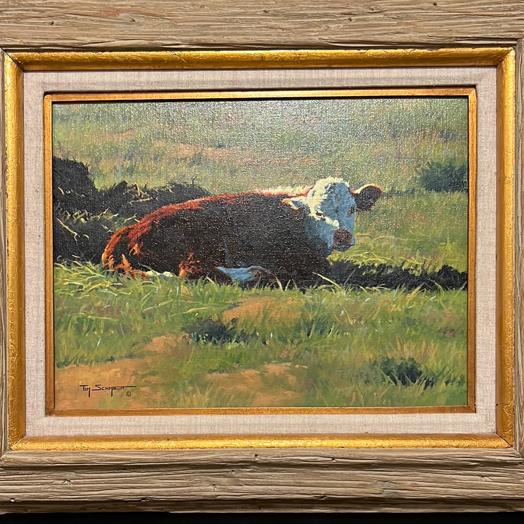Tim Schmidt “ Wakin Up “ Original Oil on Canvas