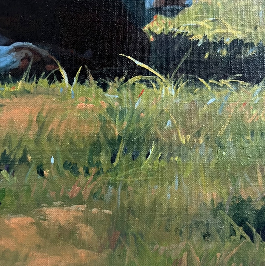 Tim Schmidt “ Wakin Up “ Original Oil on Canvas