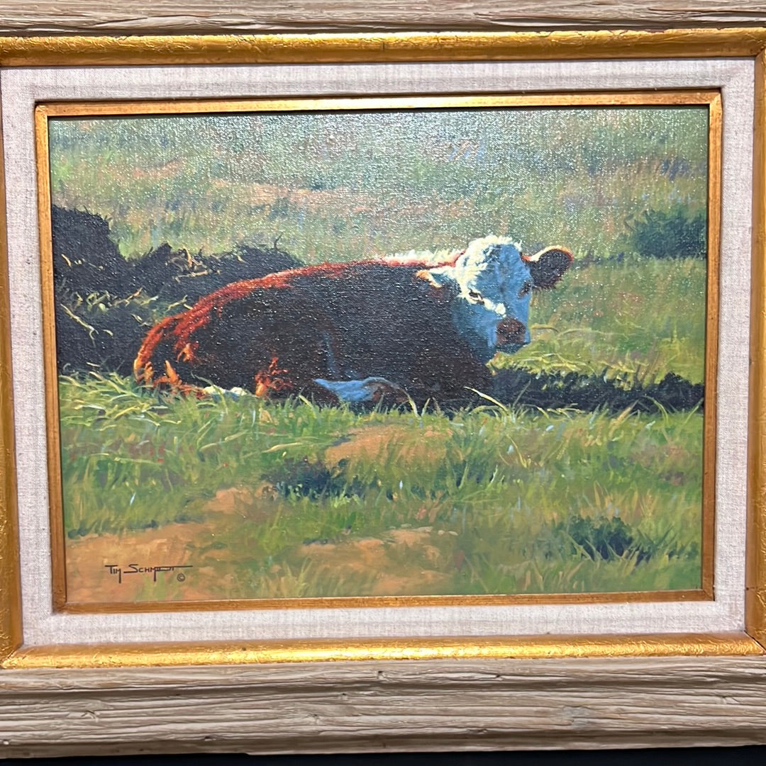 Tim Schmidt “ Wakin Up “ Original Oil on Canvas