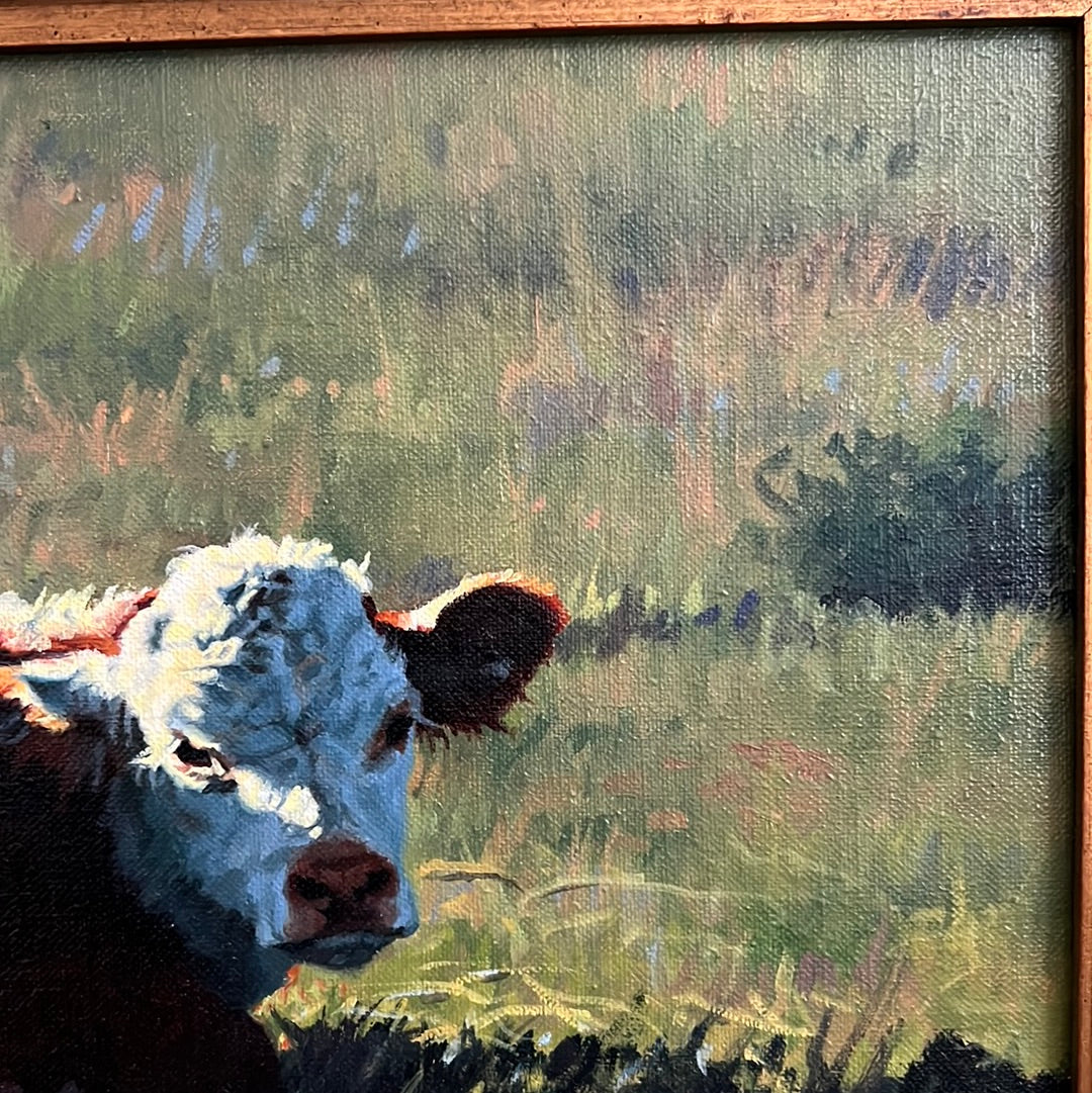 Tim Schmidt “ Wakin Up “ Original Oil on Canvas