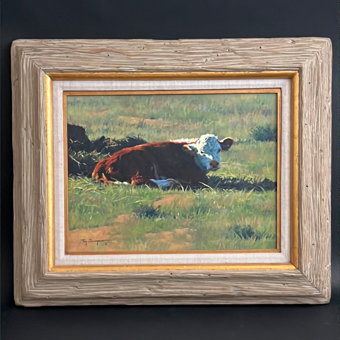 Tim Schmidt “ Wakin Up “ Original Oil on Canvas