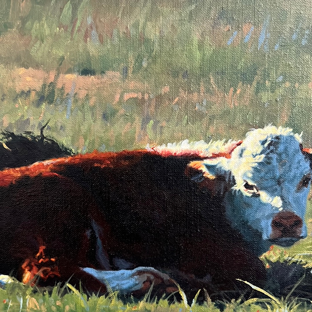 Tim Schmidt “ Wakin Up “ Original Oil on Canvas