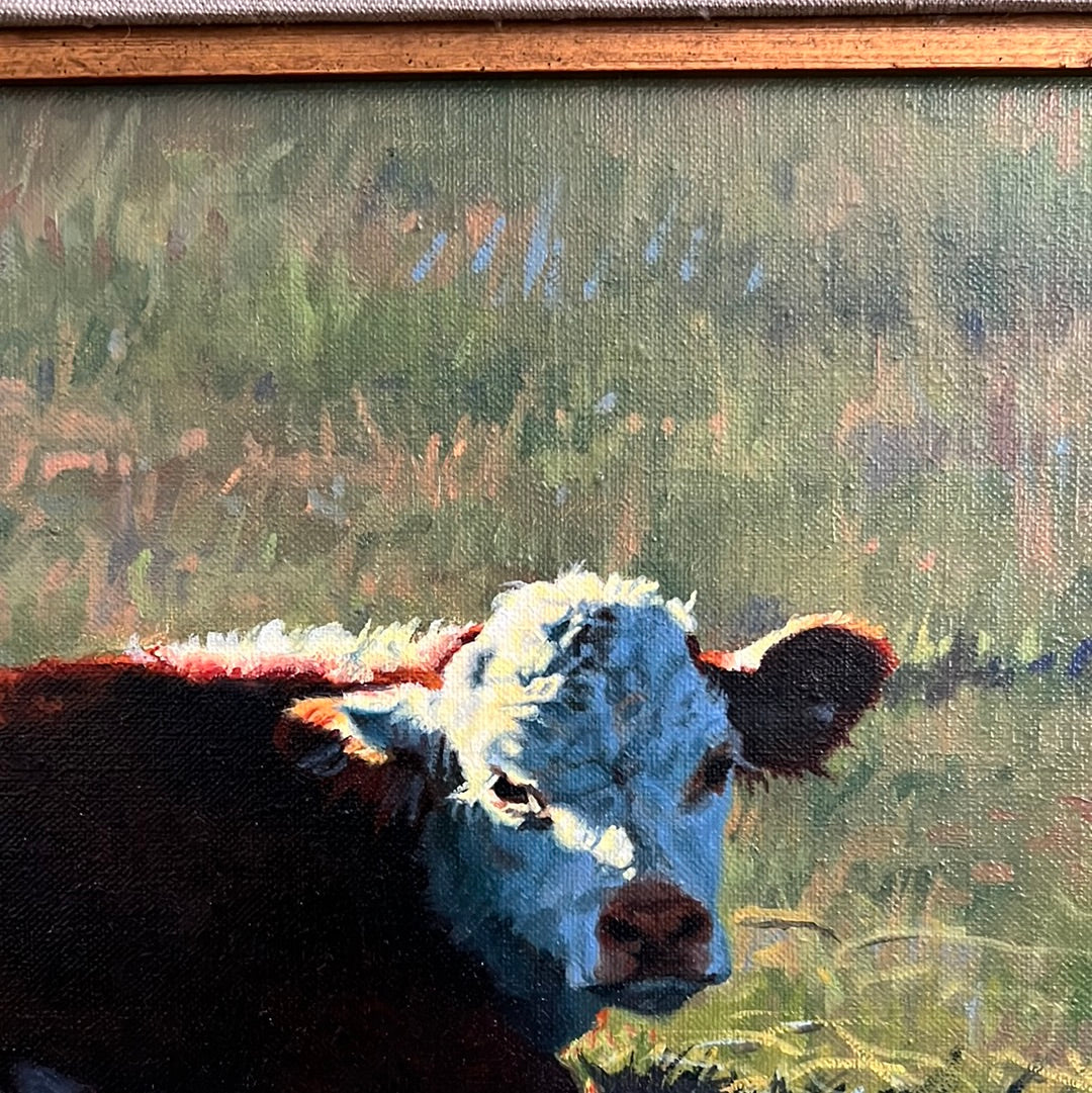 Tim Schmidt “ Wakin Up “ Original Oil on Canvas